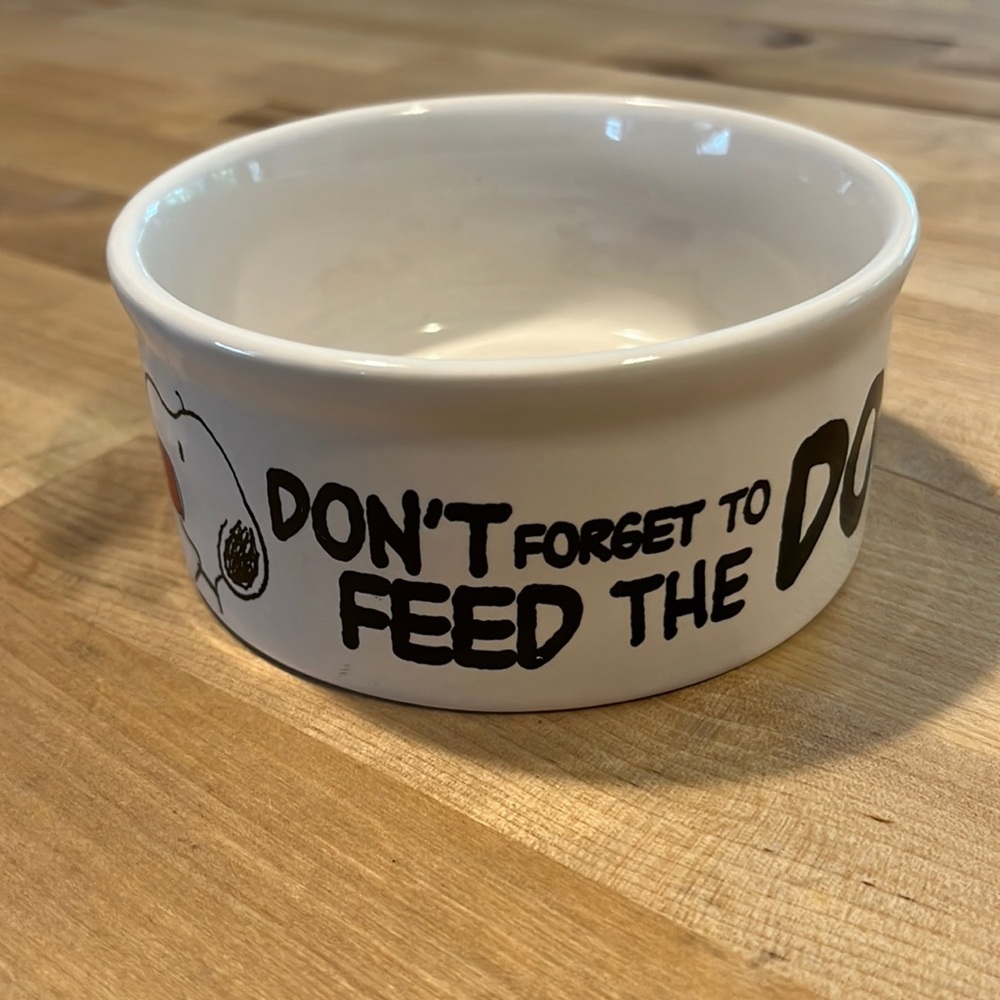 Peanuts Fon't Forget To Feed The Fog Dish Dog 4.5”